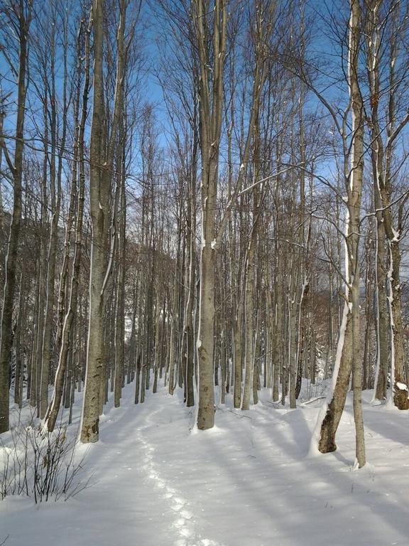 Landhaus Scacco Matto Popiglio